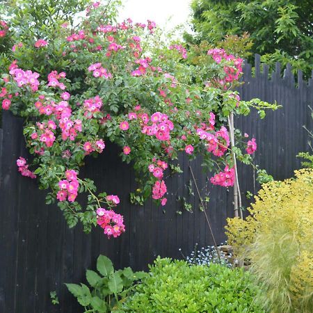 ホテルJardin De Belle Vue Quimperlé エクステリア 写真
