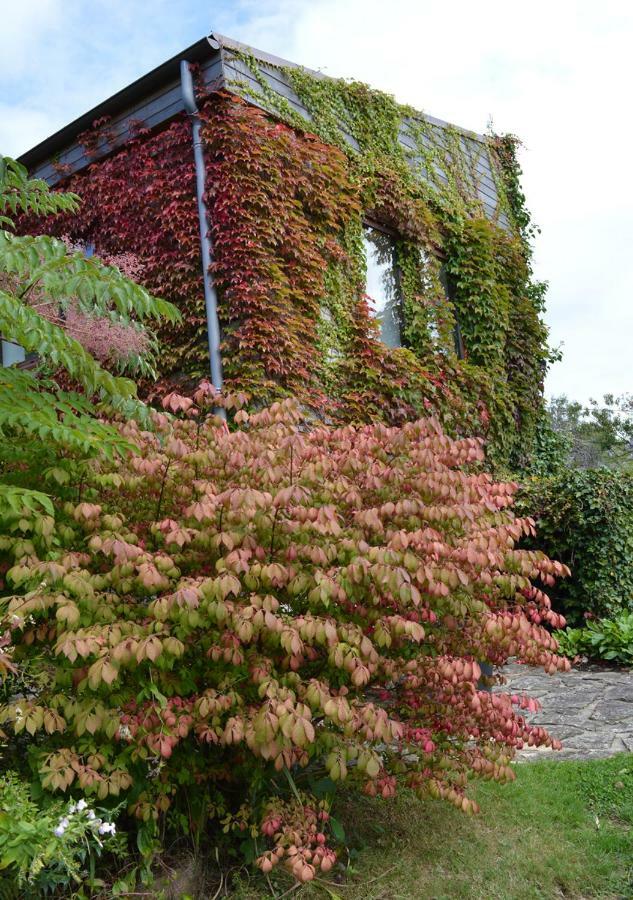 ホテルJardin De Belle Vue Quimperlé エクステリア 写真