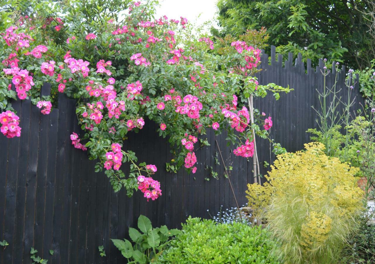 ホテルJardin De Belle Vue Quimperlé エクステリア 写真