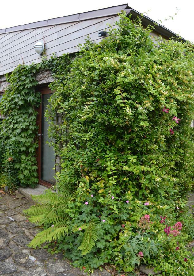 ホテルJardin De Belle Vue Quimperlé エクステリア 写真